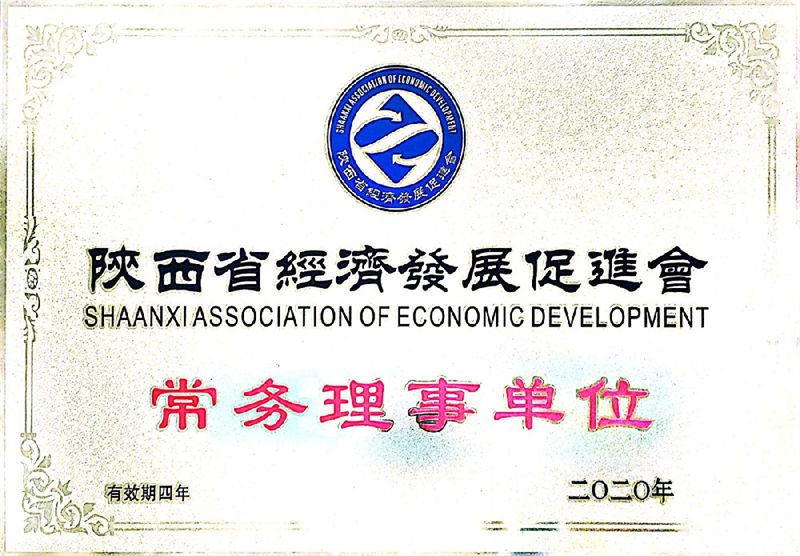 2020陕西省经济发展促进会